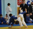 Тульские дзюдоисты завоевали золотые медали на межрегиональном турнире