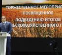 Тульская область – на втором месте в России по урожаю картофеля и рапса
