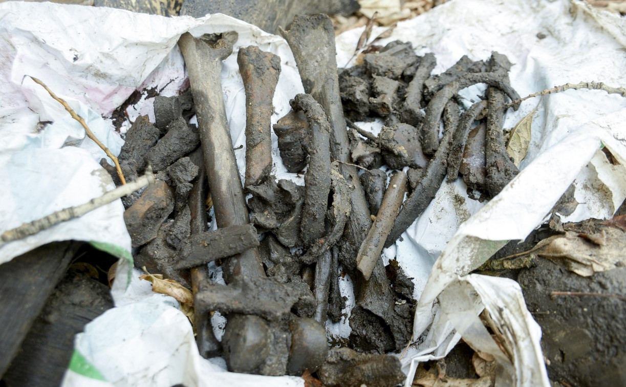 Туляк: На ул. Металлистов человеческие кости и остатки гроба три месяца лежат под открытым небом