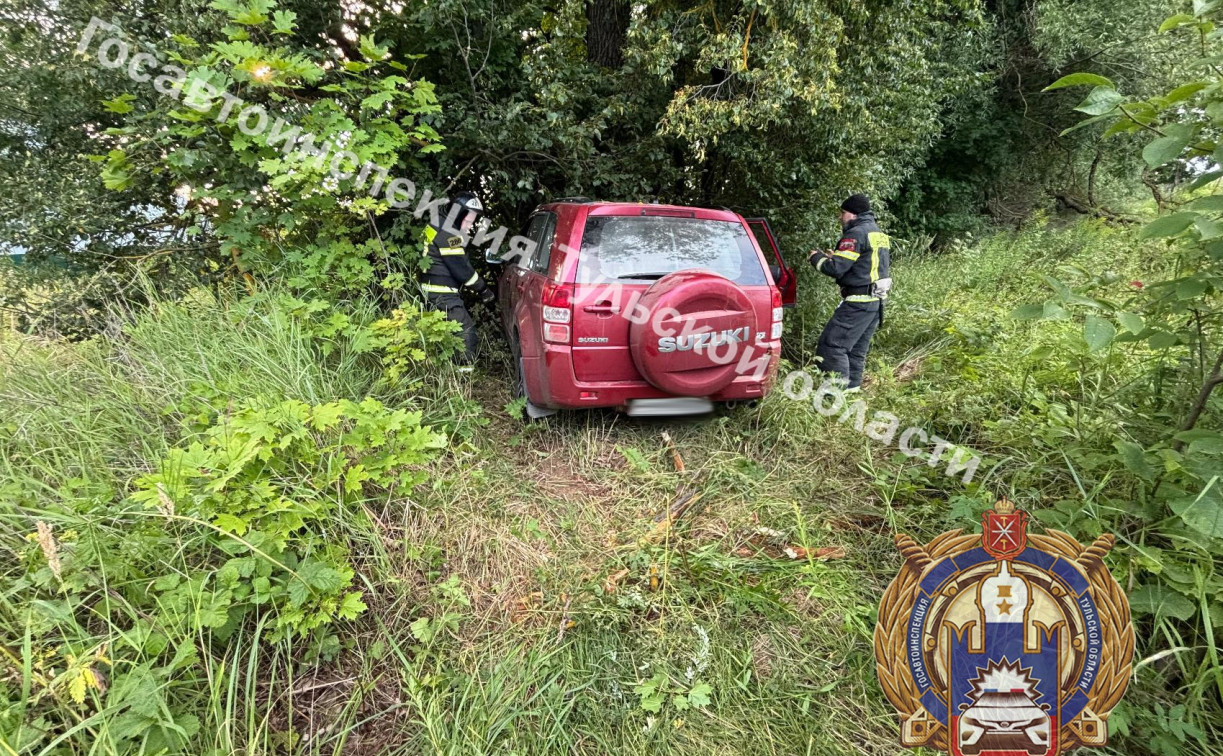 В Алексине Suzuki улетел в кювет и врезался в дерево 