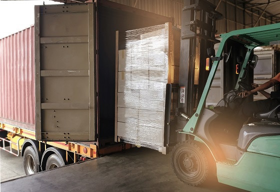 Тульская таможня в 2025 году возбудила 14 уголовных дел