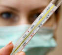 В Новомосковске введен карантин из-за вируса гриппа 