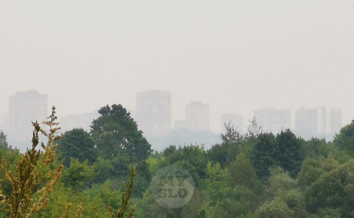 Тула в дыму: до региона добрался смог от лесных пожаров в Рязани