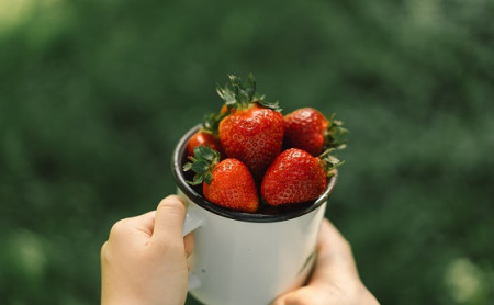 Дежурная часть