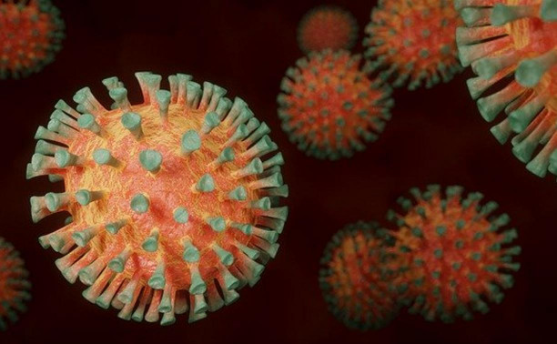 Тест: Что вы знаете о коронавирусе?   