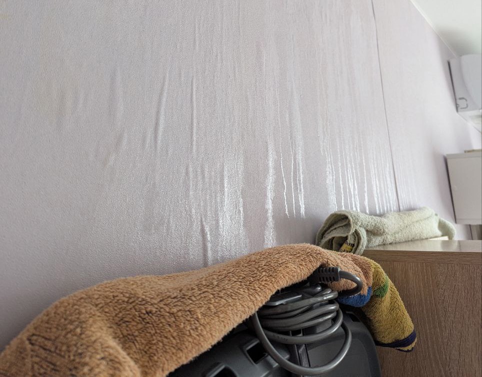 Жильцы пятиэтажки на ул. Кауля: «У нас мокрые стены, а из розеток течёт вода!»