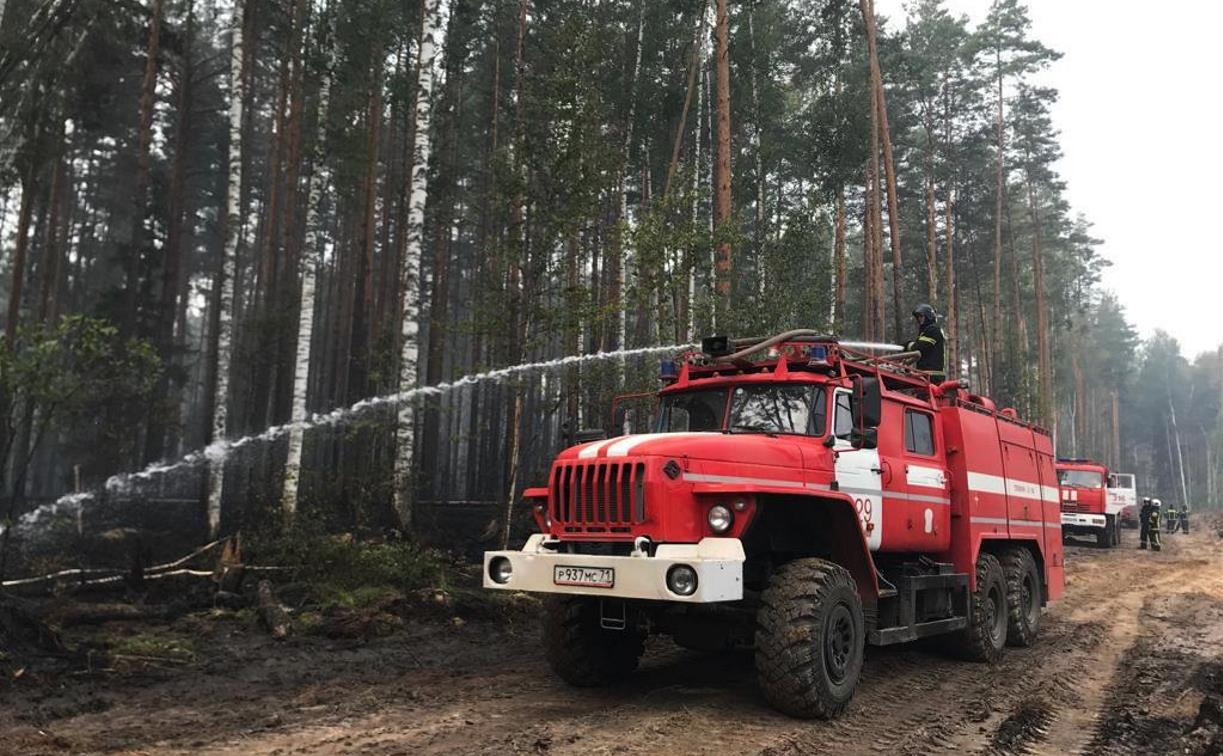 Тушили природные пожары: тульские спасатели вернулись домой из Рязанской области