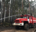 Тушили природные пожары: тульские спасатели вернулись домой из Рязанской области