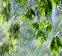 Погода в Туле 26 мая: сильный дождь с грозой, до +25