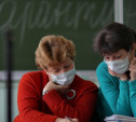 В Тульской области из-за гриппа и ОРВИ частично приостановлена работа четырёх детсадов и школ