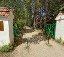 Музей-усадьбу Поленово в Тульской области можно посетить виртуально 