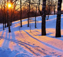 Погода в Туле 8 декабря: небольшой снег, южный ветер, до семи градусов мороза