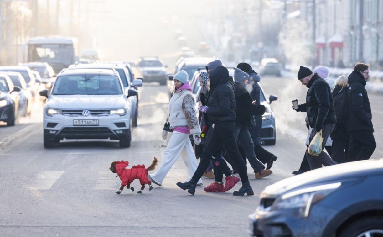 Погода в Туле 3 февраля: до -20 градусов и без осадков