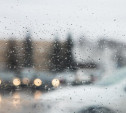 Погода в Туле 10 декабря: мокро, скользко и до +2