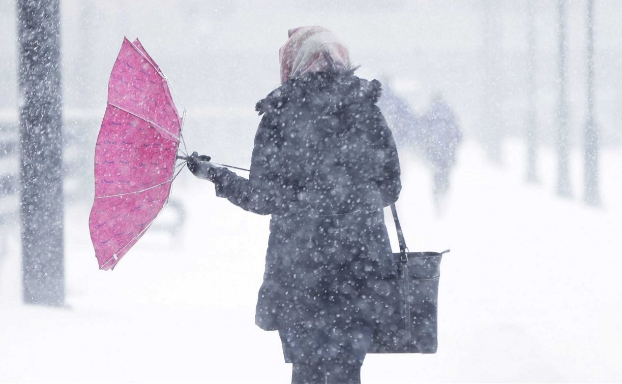 Погода в Туле 22 февраля: снег, ветер и низкое давление