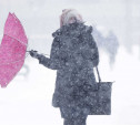 Погода в Туле 22 февраля: снег, ветер и низкое давление