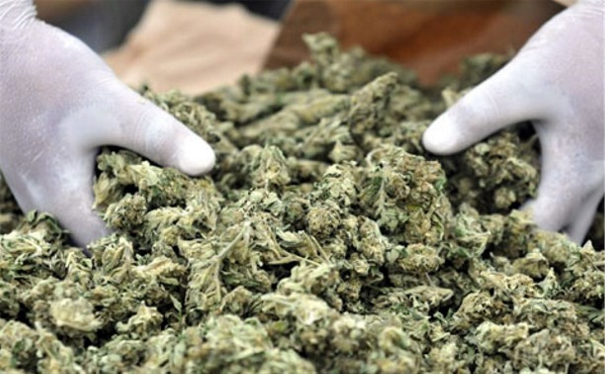 Работающего в Алексине жителя Смоленской области приговорили к 3 годам за хранение марихуаны 