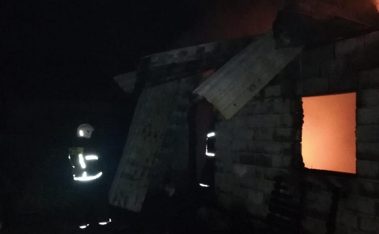 В Ясногорске при пожаре в дачном доме погибла женщина