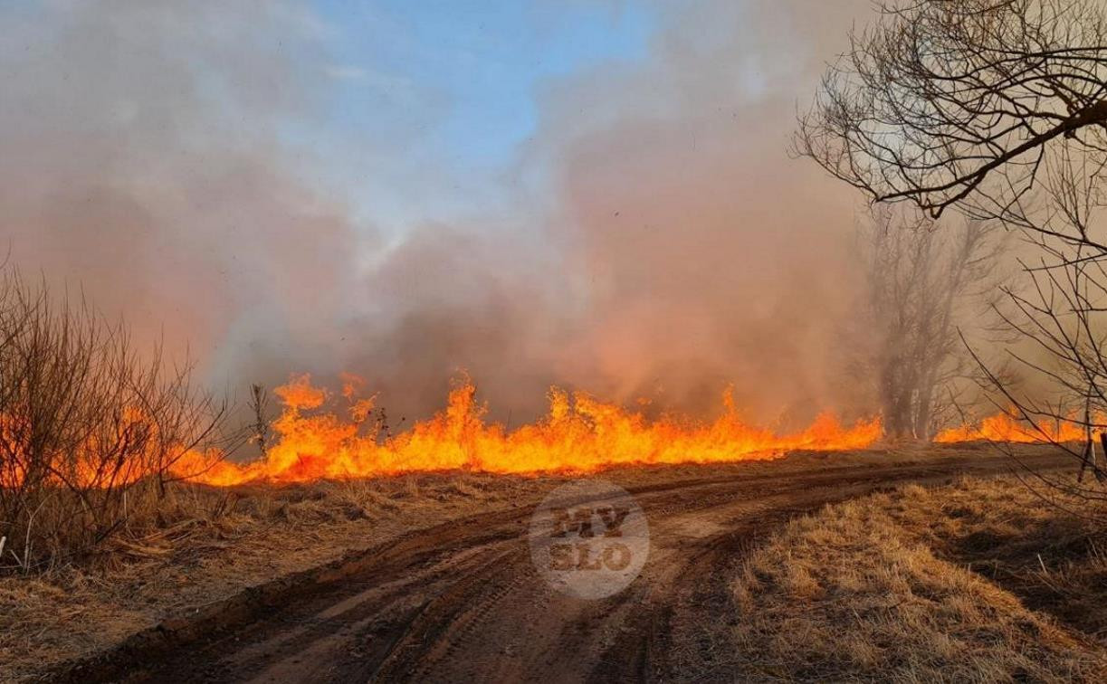 В Тульской области участились случаи пожаров из-за пала травы: прокуратура начала масштабные проверки