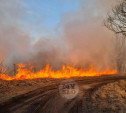В Тульской области участились случаи пожаров из-за пала травы: прокуратура начала масштабные проверки