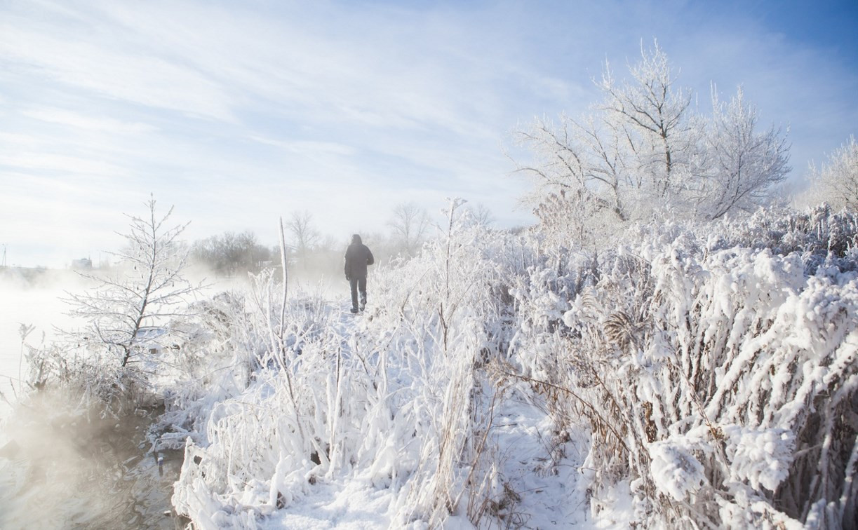 В понедельник в Тульской области будет морозно и без осадков