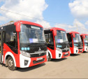 В этом году на улицы Тулы выедут 20 новых автобусов