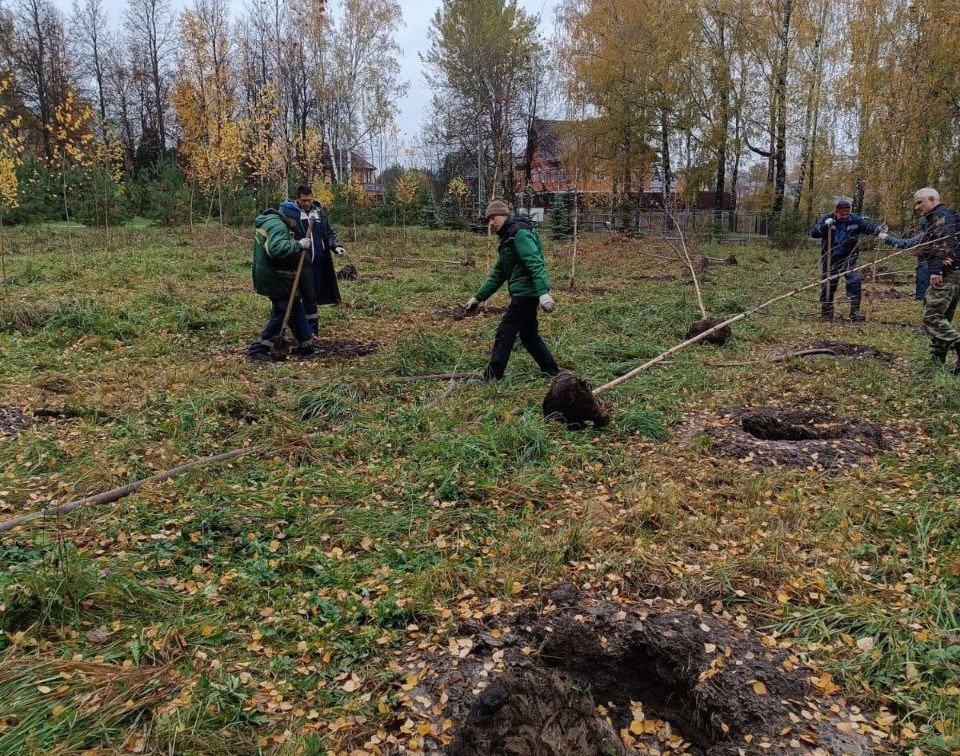 Осенью в Пролетарском парке высадят более 300 деревьев