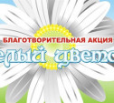 В Тульской области впервые состоится благотворительная акция «Белый цветок»