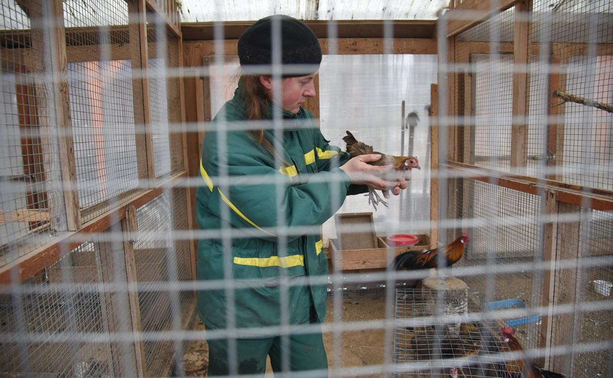 Обитатели зооуголка Белоусовского парка готовятся к зиме: фоторепортаж