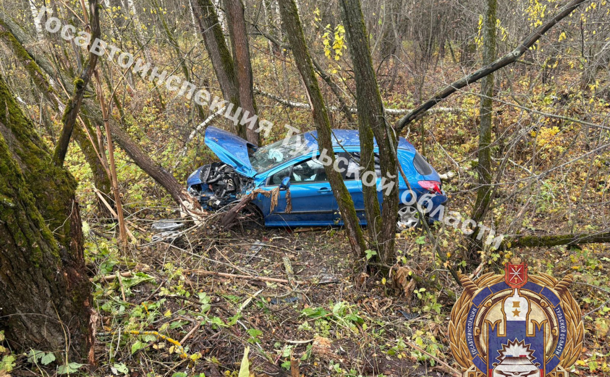 В Ясногорском районе 23-летняя девушка на Peugeot улетела в кювет 