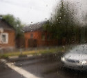 Погода 16 июля: в Туле облачно, местами кратковременный дождь