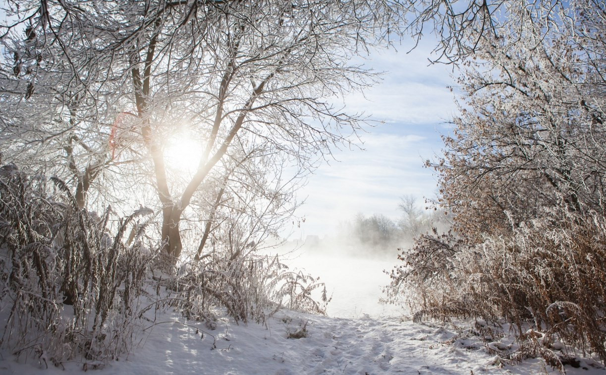 В Центральную Россию придет настоящая зима