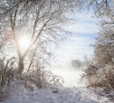 В Центральную Россию придет настоящая зима
