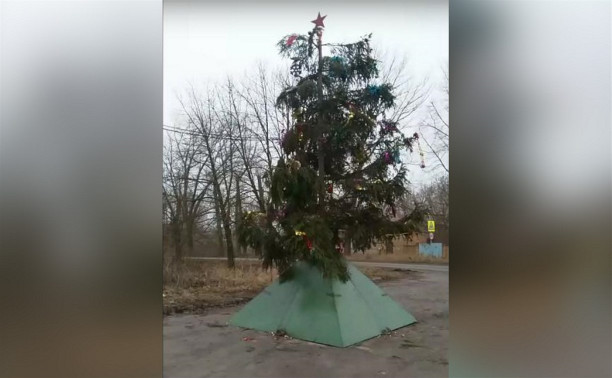 Жителей Новомосковска пугает «босяцкая» новогодняя елка