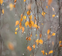 Погода в Туле 9 ноября: облачно, холодно, небольшие осадки