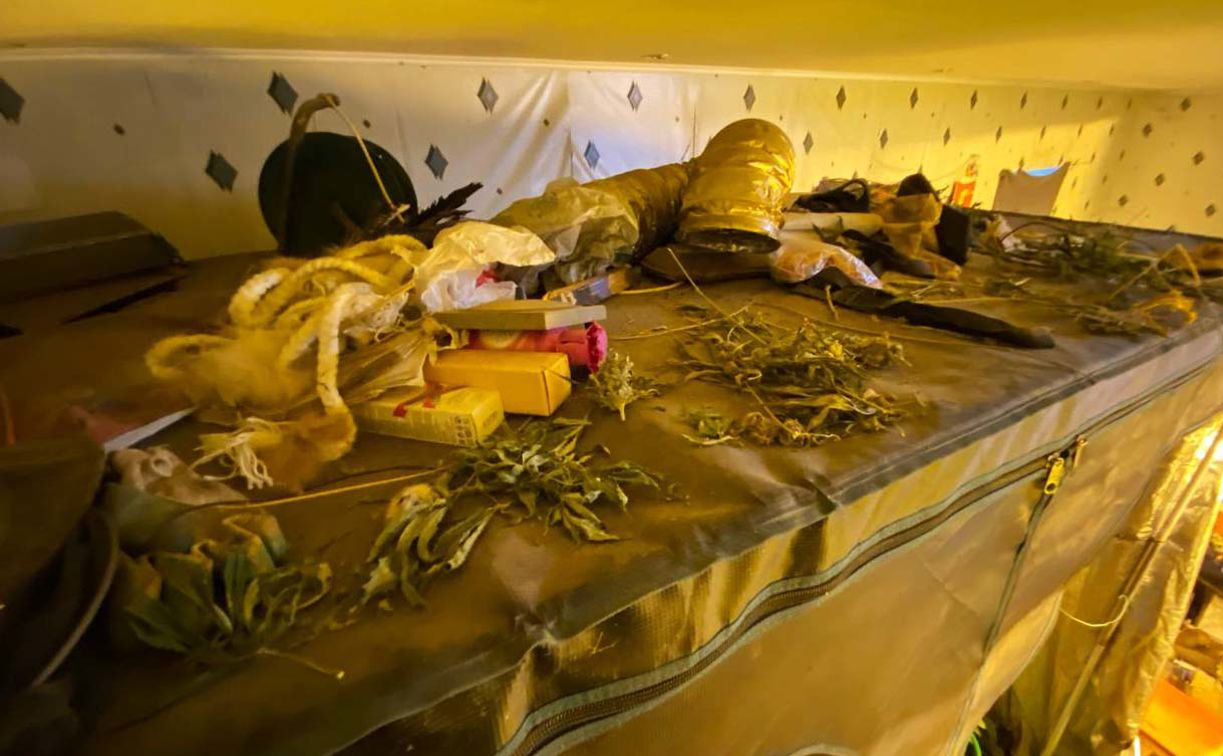 Житель Тульской области хранил дома наркотики и оружие