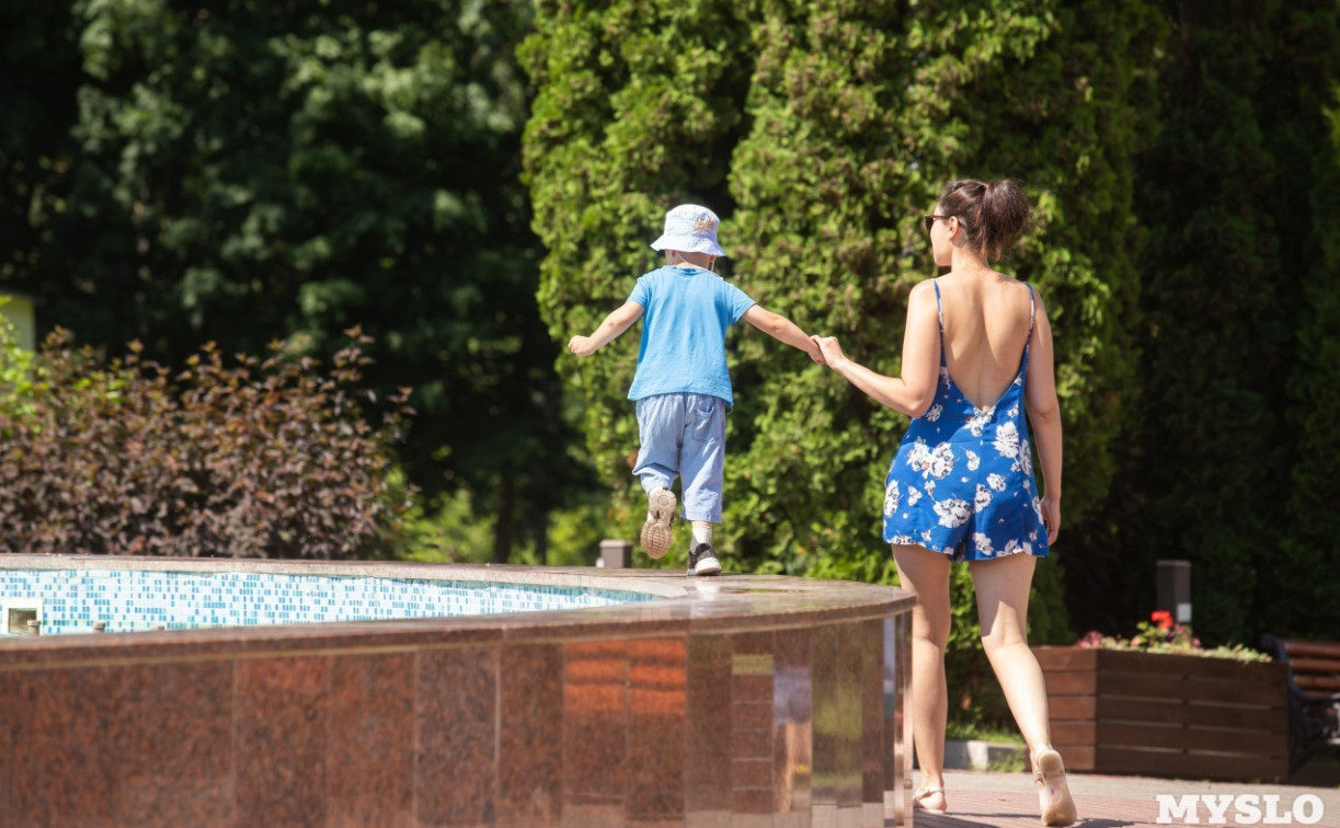 Погода в Туле 7 июля: жара до +29 градусов