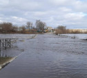 Паводок в Тульской области: жителей подтопленных районов при необходимости будут эвакуировать