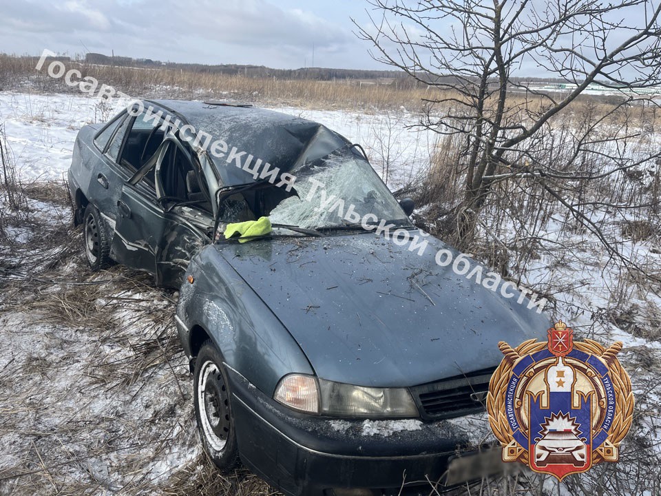 Под Тулой Daewoo Nexia врезалась в дерево: двое детей пострадали