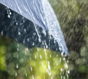 Погода в Туле 19 августа: дождливо и тепло