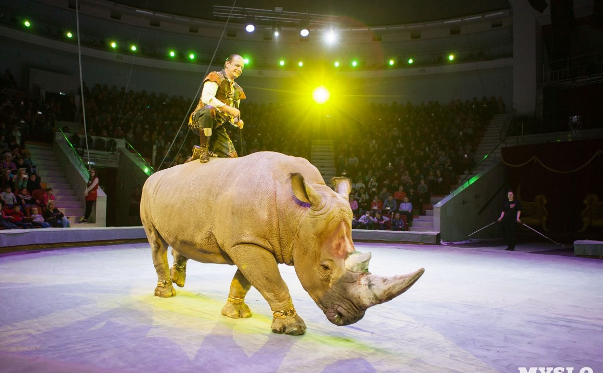 В Тульском цирке выступает единственный в мире дрессированный носорог