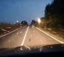Под Тулой водитель попал в «мотыльковую метель» – видео
