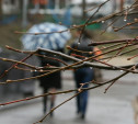Погода в Туле 11 апреля: похолодание и небольшой дождь