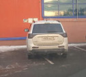 В Новомосковске водитель припарковался сразу на два места для инвалидов