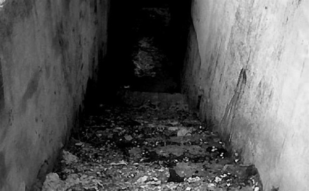 В Веневском районе в подвале дома обнаружен труп молодой девушки