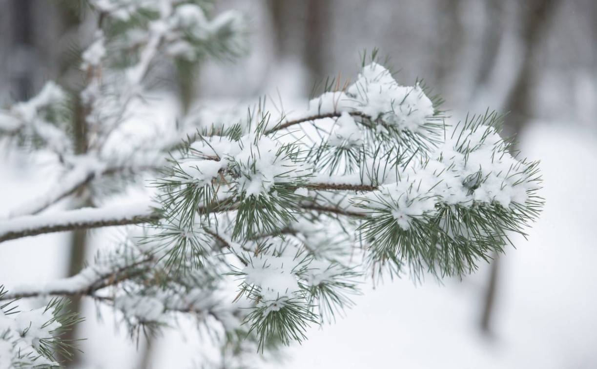 Погода в Туле 29 декабря: небольшой минус и умеренный снег