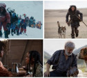 В диких условиях: лучшие фильмы про выживание