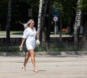В выходные Тулу накроет июльская жара