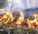 Тульское МЧС узнаёт о лесных пожарах с помощью спутников