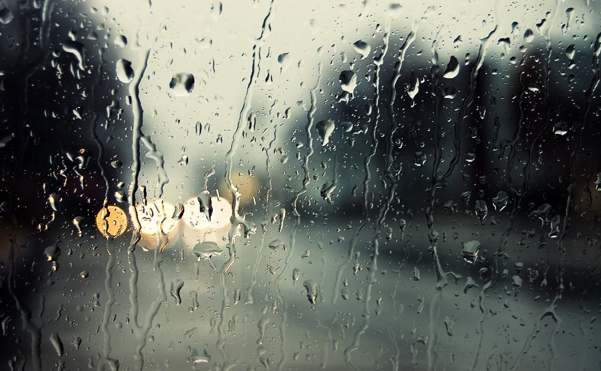Погода в Туле 8 августа: дождь с грозой и ветер